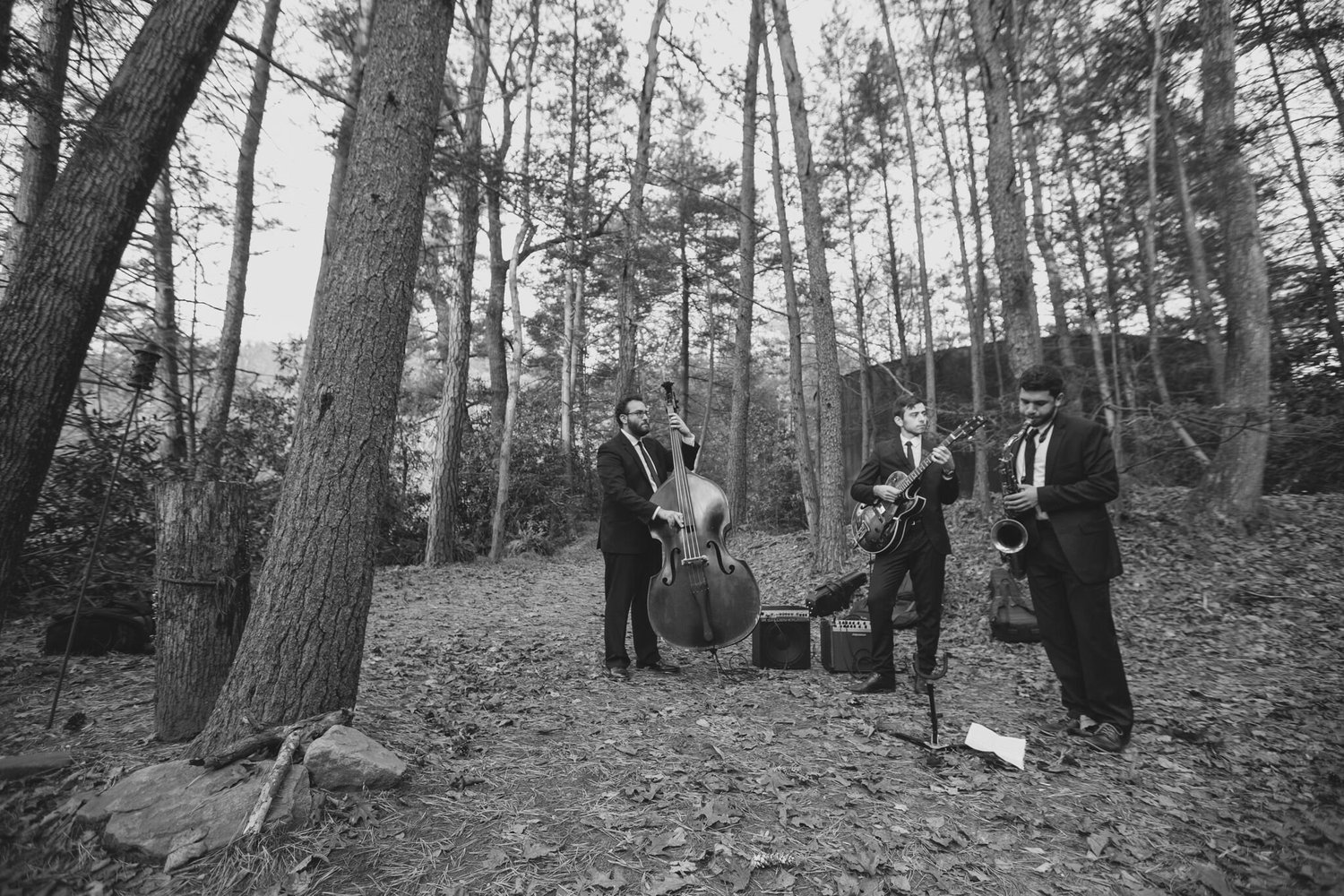 The trio playing upright bass, guitar and saxophone in a forest clearing